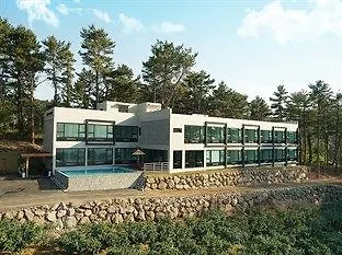 Nine Spa Ville Jeju Holiday home